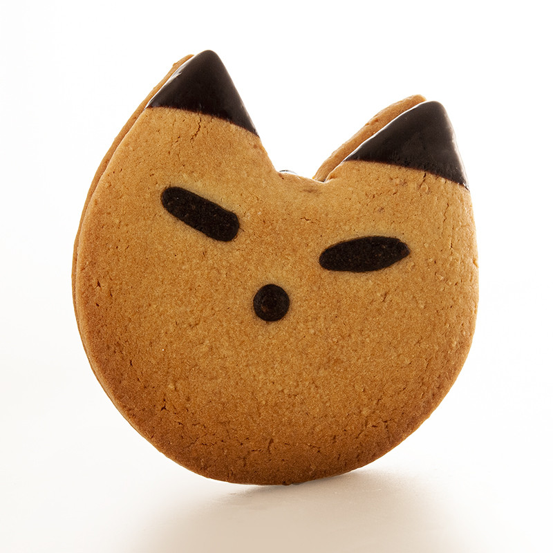 Sablé chat